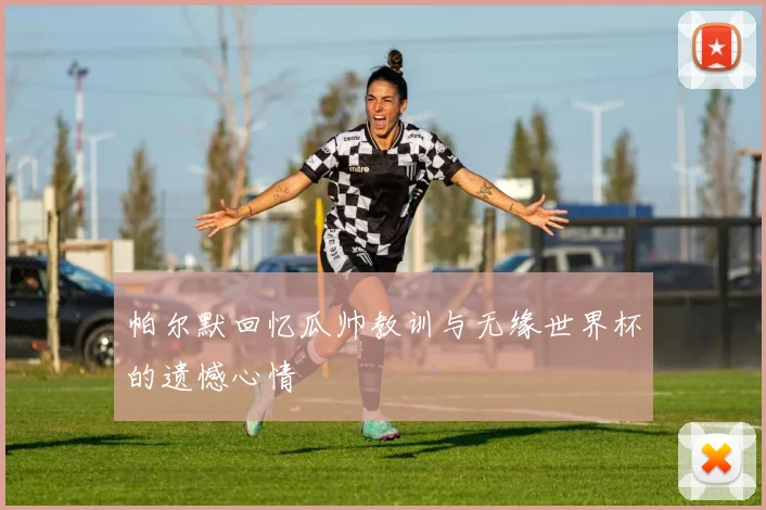 帕尔默回忆瓜帅教训与无缘世界杯的遗憾心情